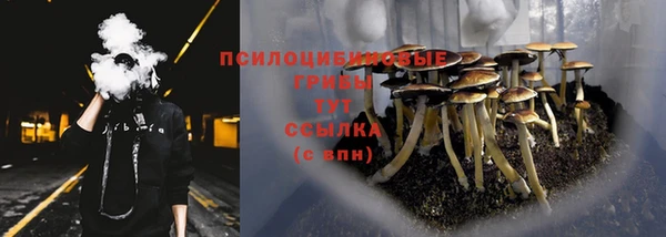 a pvp Верея