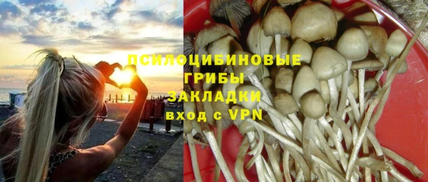 a pvp Верея